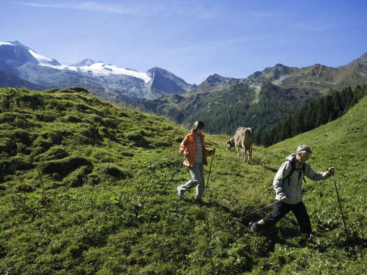 Holiday Home Steinfeld Close To The Ski Lift Zell am Ziller Ngoại thất bức ảnh